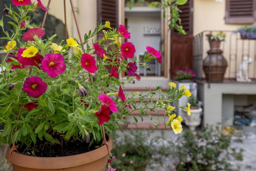 Loft Ortensia Garden Wifi Air Conditioning Флоренция Экстерьер фото